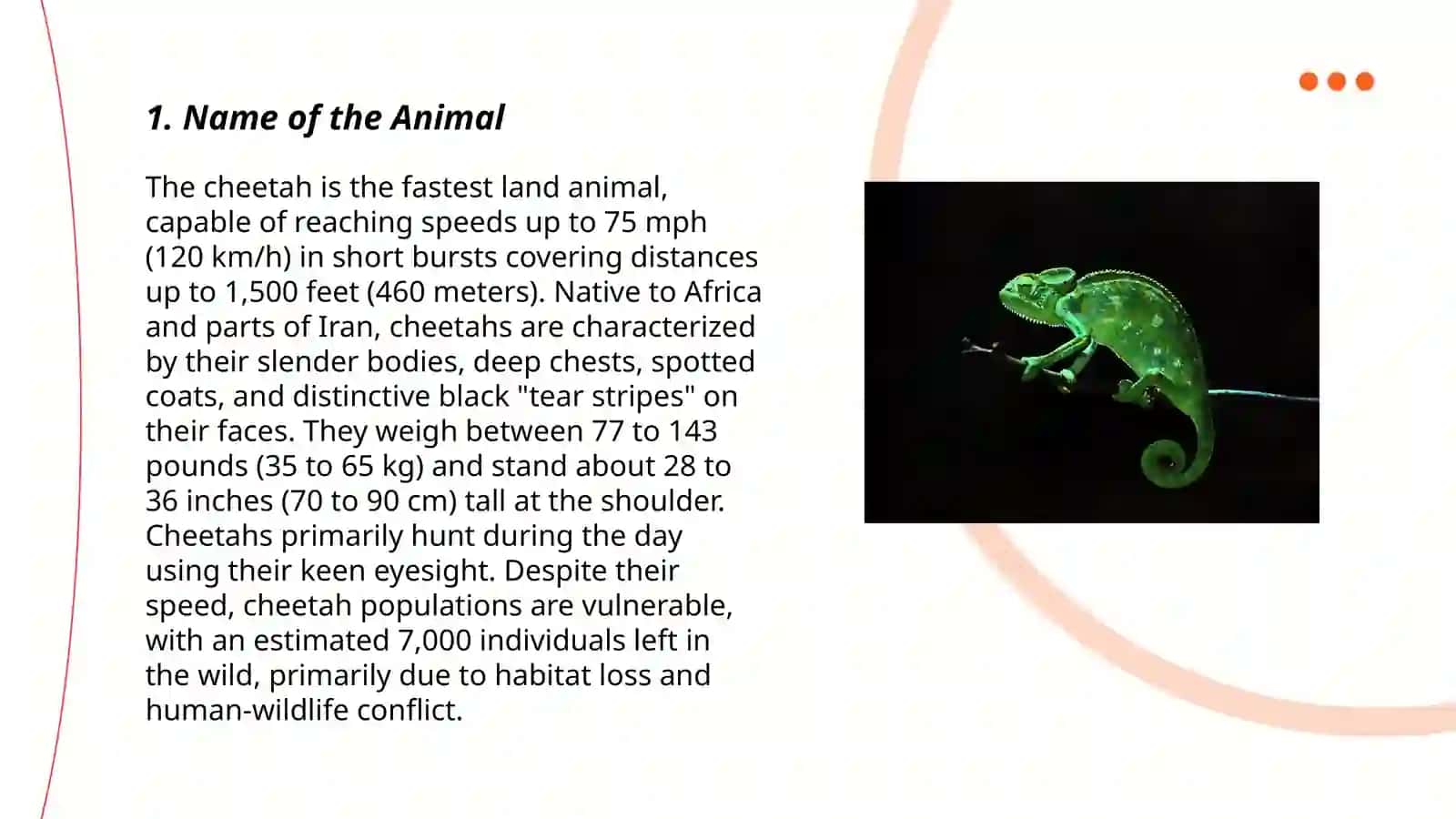 Chameleon 3