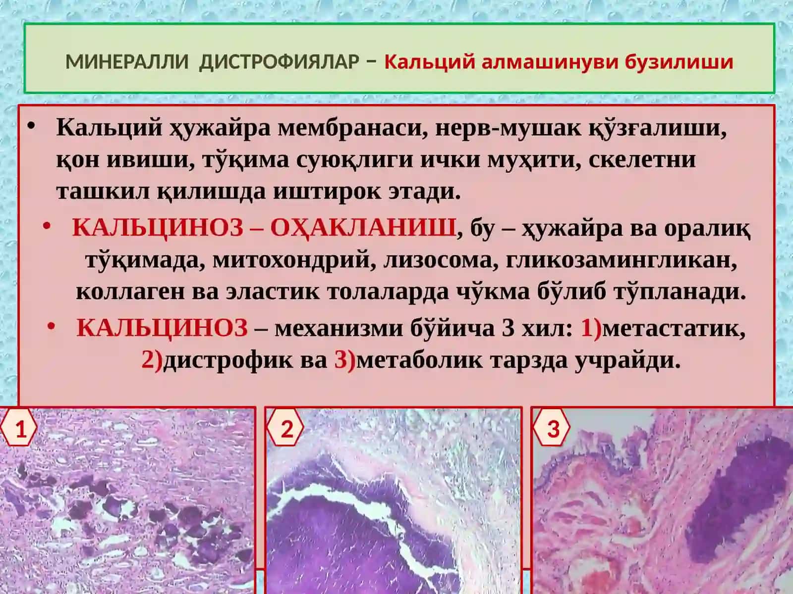 Аралаш дистрофия ва некроз. 3