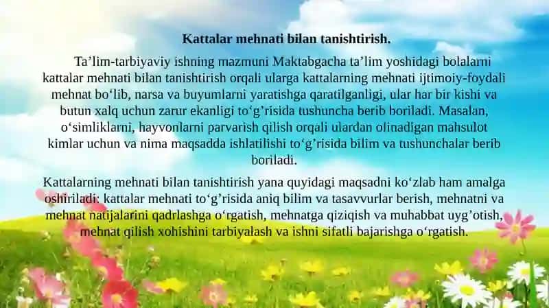 MAKTABGACHA TA’LIM TASHKILOTLARIDA  MEHNATNI TASHKIL ETISH SHAKLLARI. 3