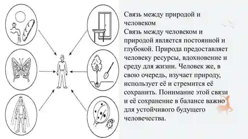Окружающий нас мир 3