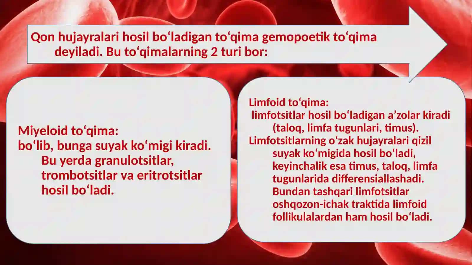 Qon va qonning yaratilishi 3