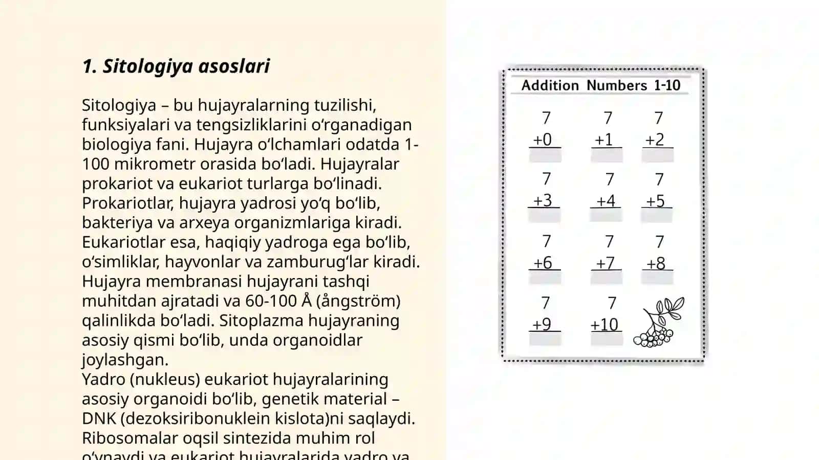 Sitologiya asoslari 3