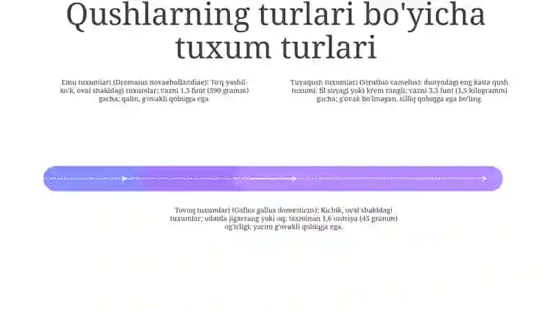 Tuxum Va Tuxum Turlari 3