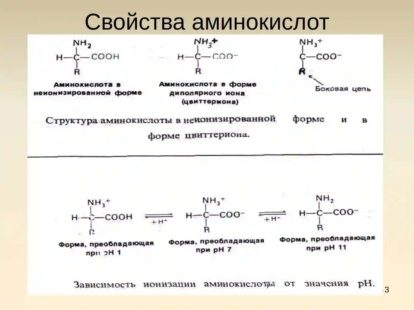Aминокислоты 3