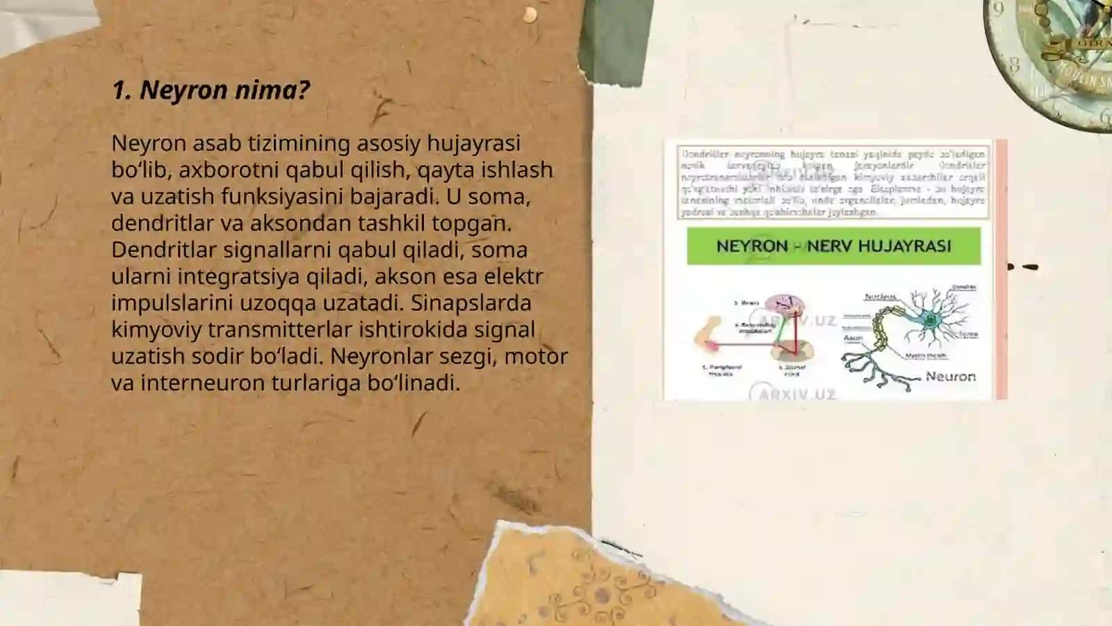 Neyron haqida tushuncha 3