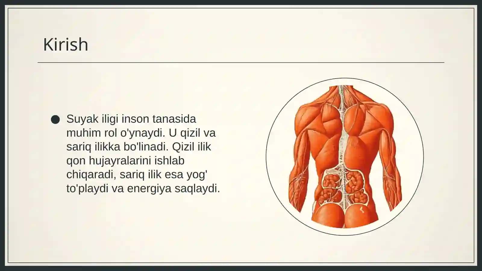 Suyak iligi tahlili 3