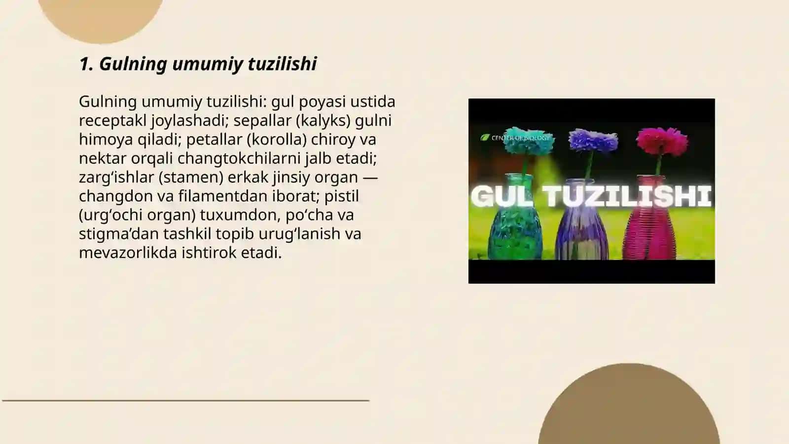 Gul tuzilishi va turlari 3