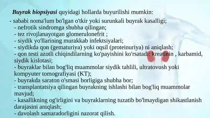 Buyrak biopsiyasi 3