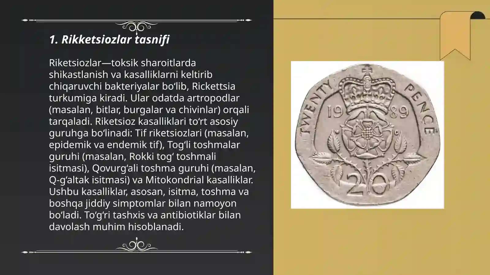 Rikketsiozlar va gerpesviruslar 3