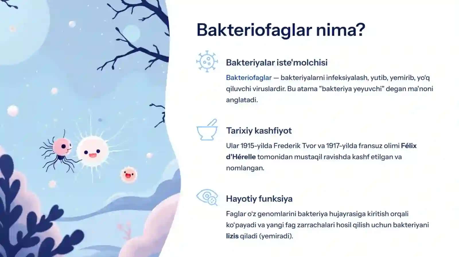 Bakteriofaglar (Faglar) 3