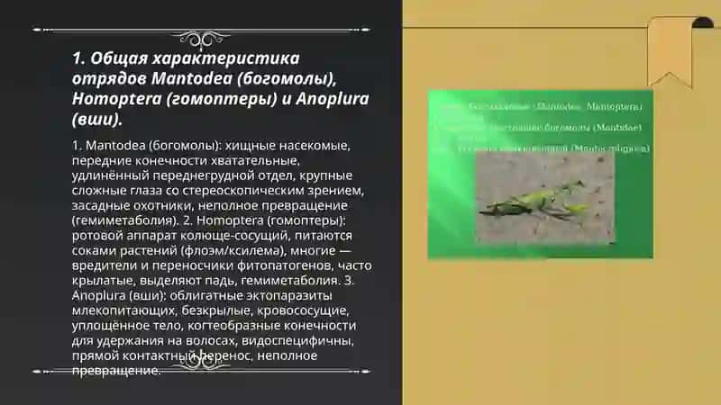Отряды Mantodea, Homoptera и Anoplura 3