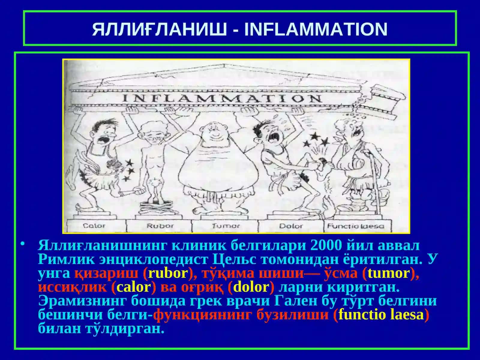 ПАТОЛОГИК АНАТОМИЯ 3