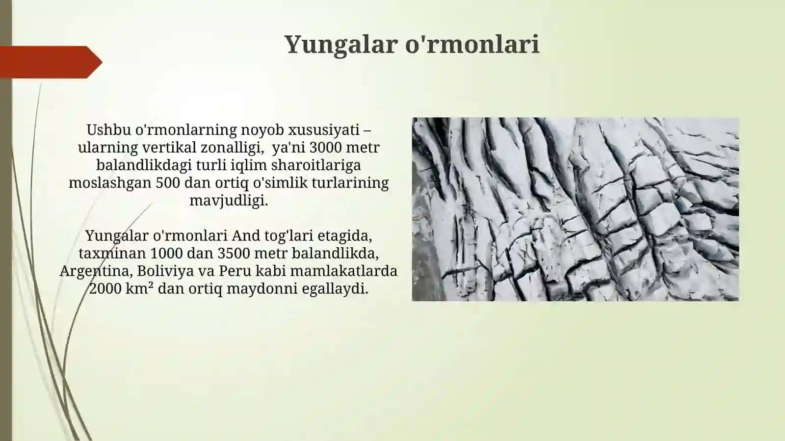 Janubiy amerika tabiat zonasi 3