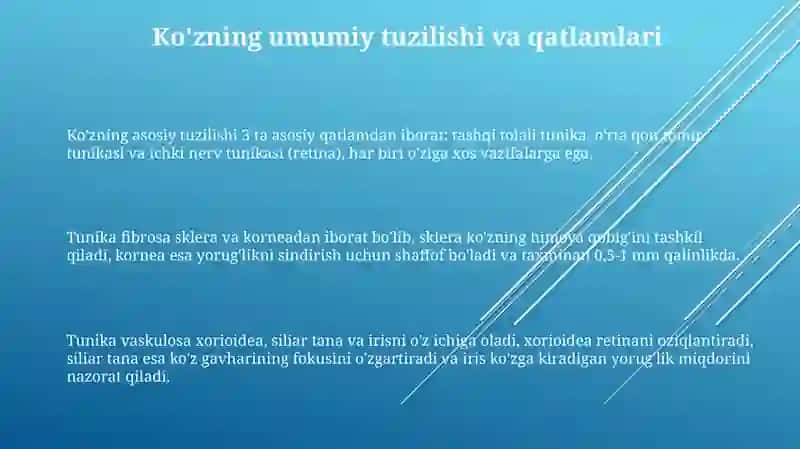 Ko'z. Gistologik tuzilishi 3