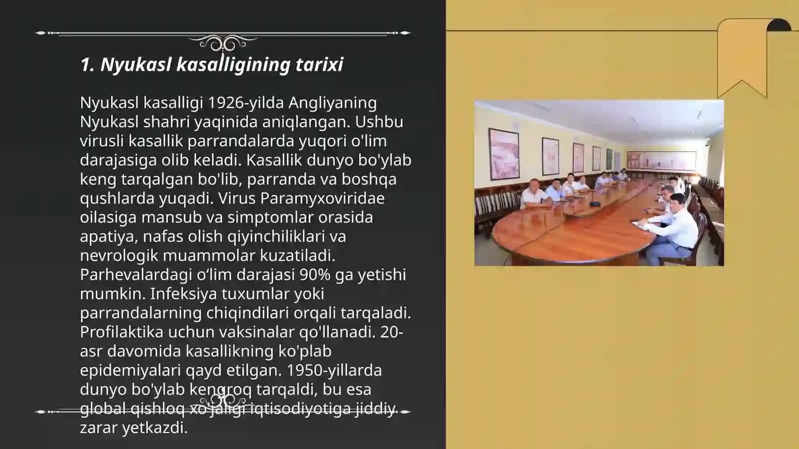 parrandalar nyukasl kassalligi 3
