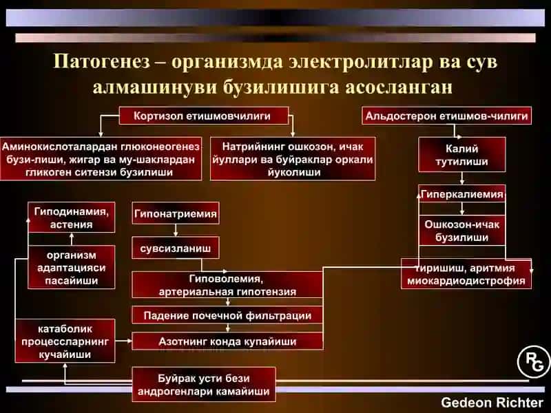 Гипокортицизм-ташхислаш, касаллик белгилари 3