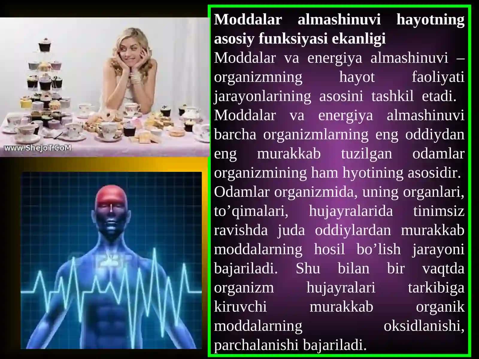 Bolalar organizmida modda va energiya almashinuvi 3