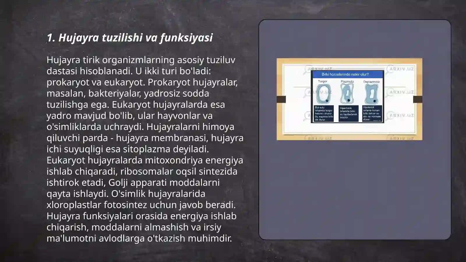 Hujayra alteratsiyasi va adabtatsiyasi 3