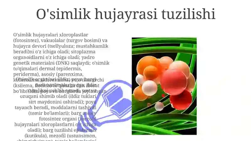 O'simliklarning hujayra va toqimasining tuzilishi vegetativ va generetiv organlar tuzilishi 3