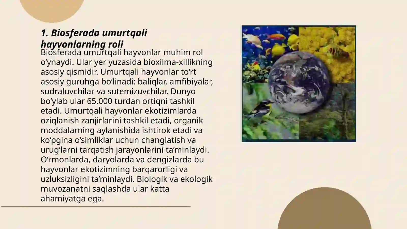 Biosferada xordali hayvonlarning tutgan oʻrni 3