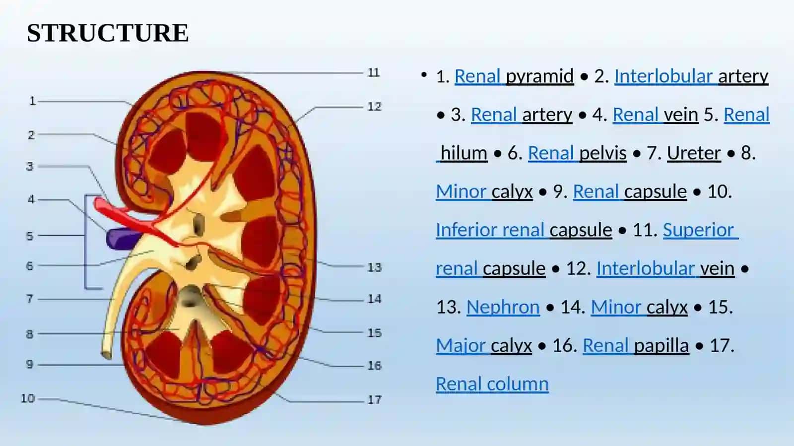 CHRONIC RENAL FAILURE 3