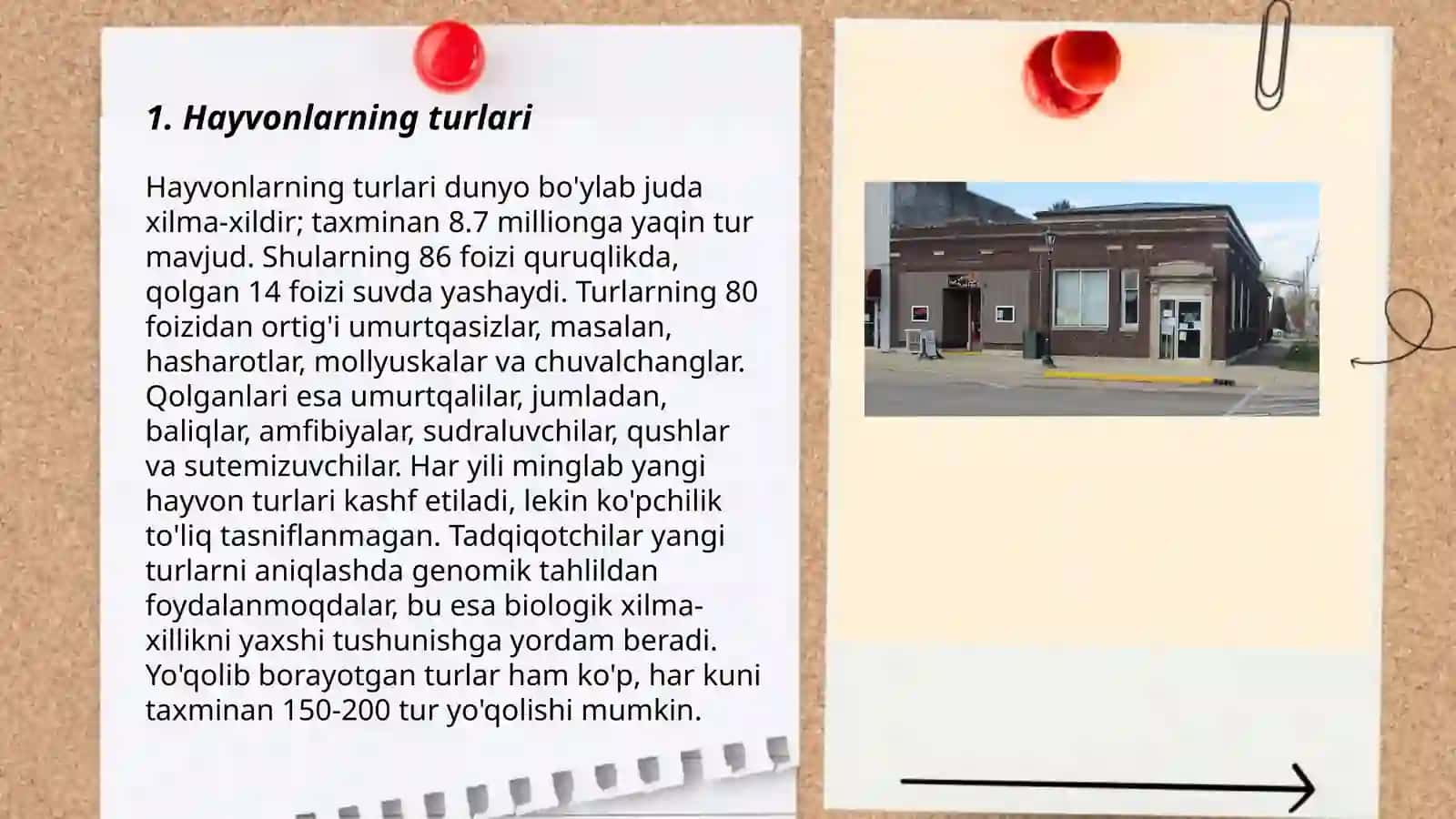 Tirik tabiat burchagi 3