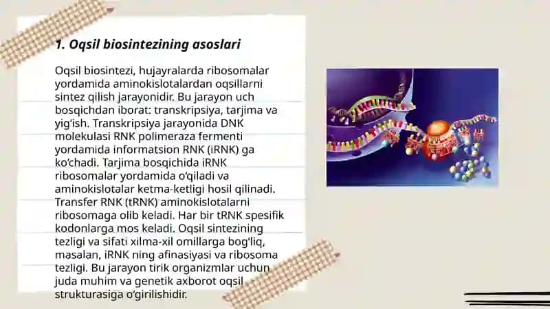 Oqsil biosintezining boshqarilishi 3