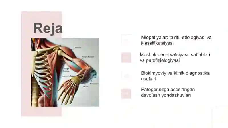 Miopatiyalar va mushaklar denervatsiyasi 3