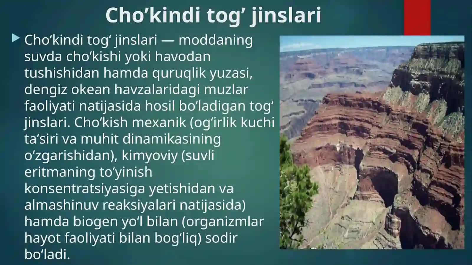 Taqdimot(prezentatsiya) 3