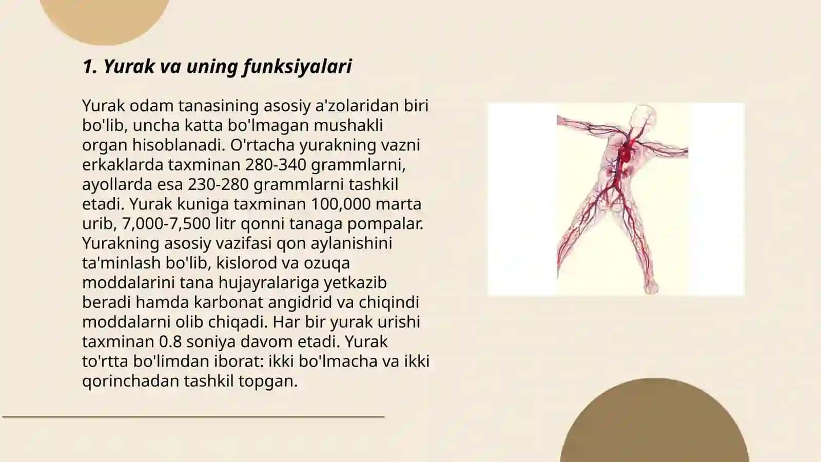 Yurak va uning funksiyalari 3