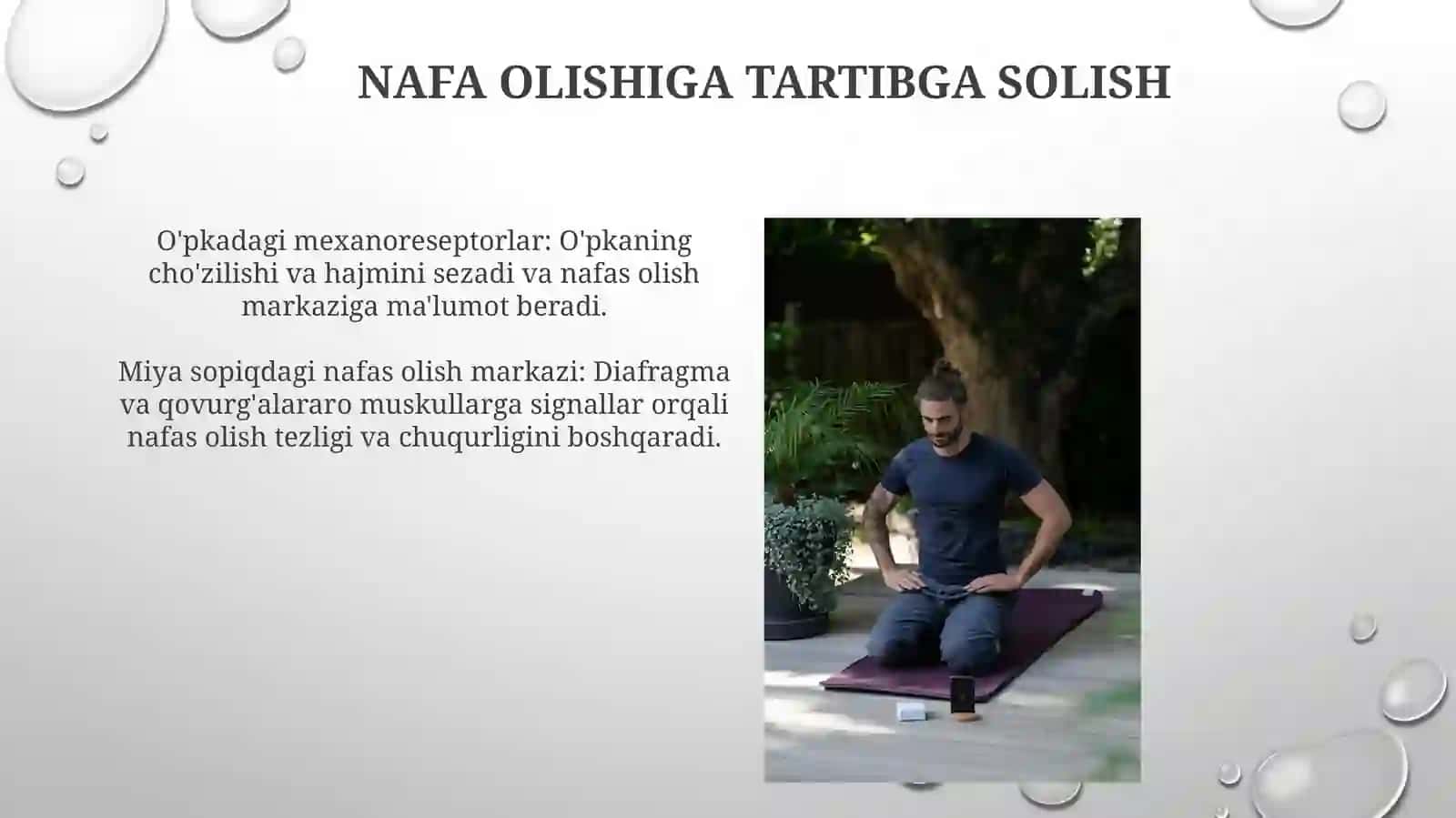 Nafasfizyologydi 3