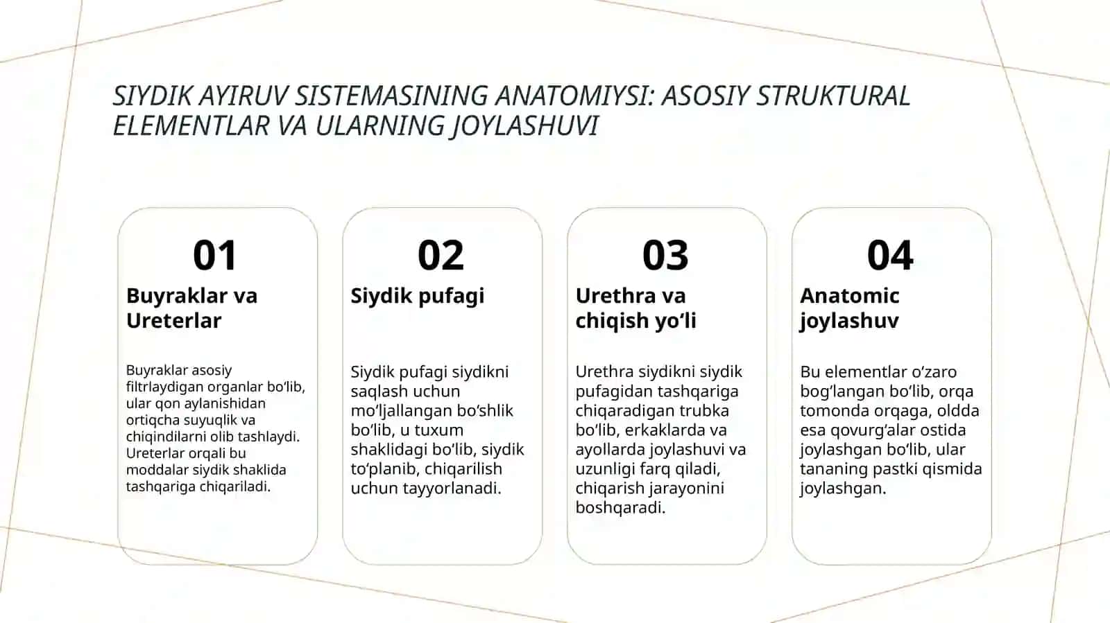 Siydik ayiruv sistemasining nuqsonlari 3