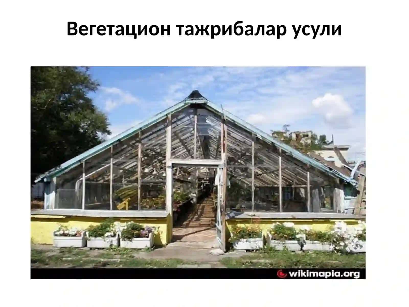 Вегетацион тажрибалар усули 3