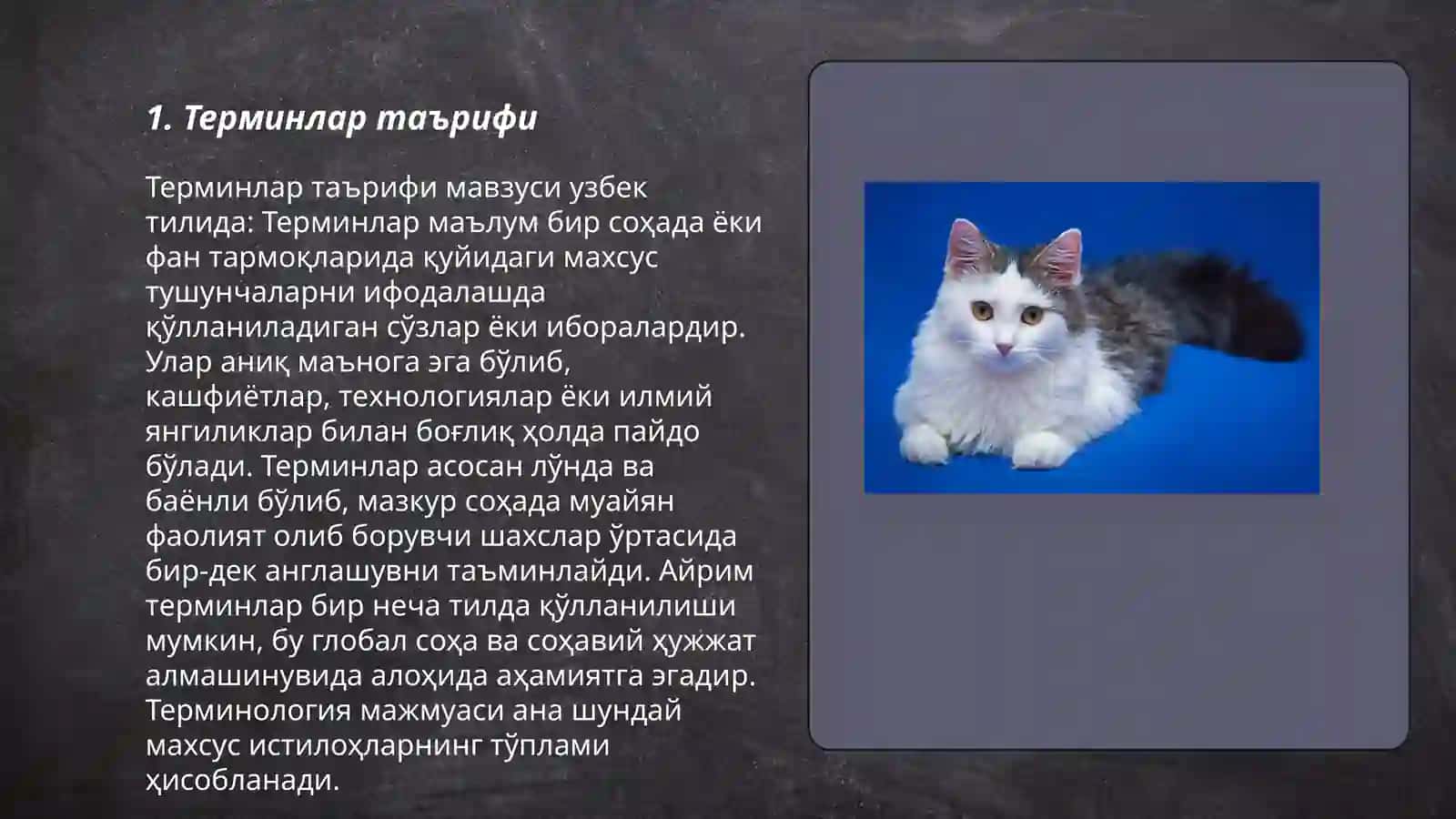 Терминлар 3