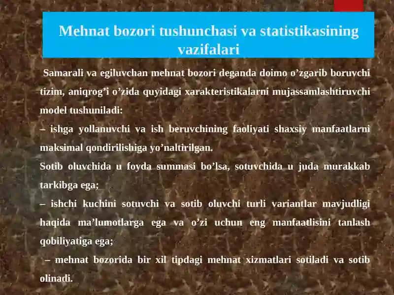 Mehnat Bozori Statistikasi 3