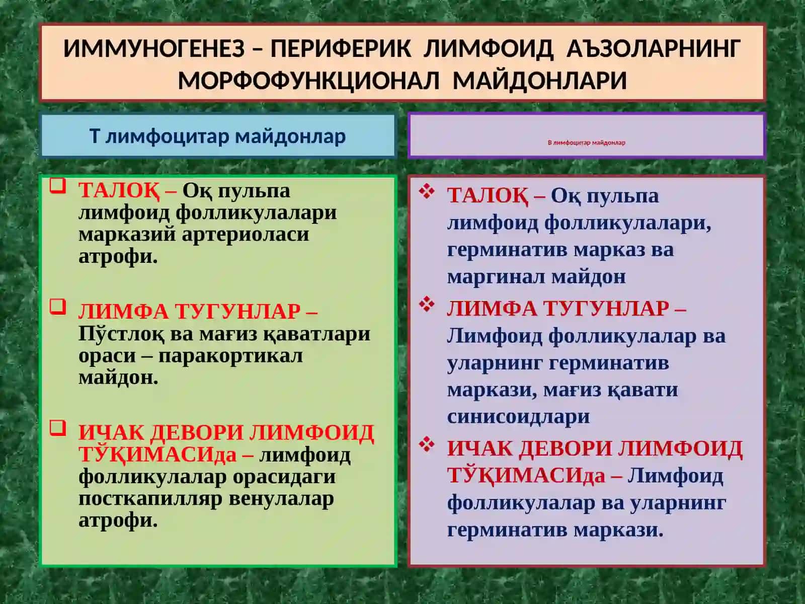 Immun tizim tuzilishi va funksiyasi. 3