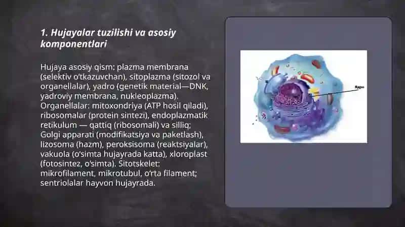 Sitologiya 3