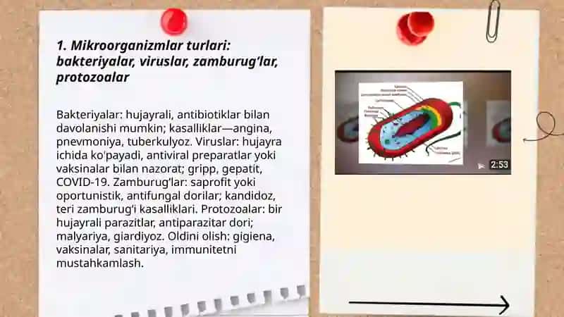 Mikroorganizmlar keltirib chiqaradigan kasalliklar, ularni oldini olish. Immunitet 3