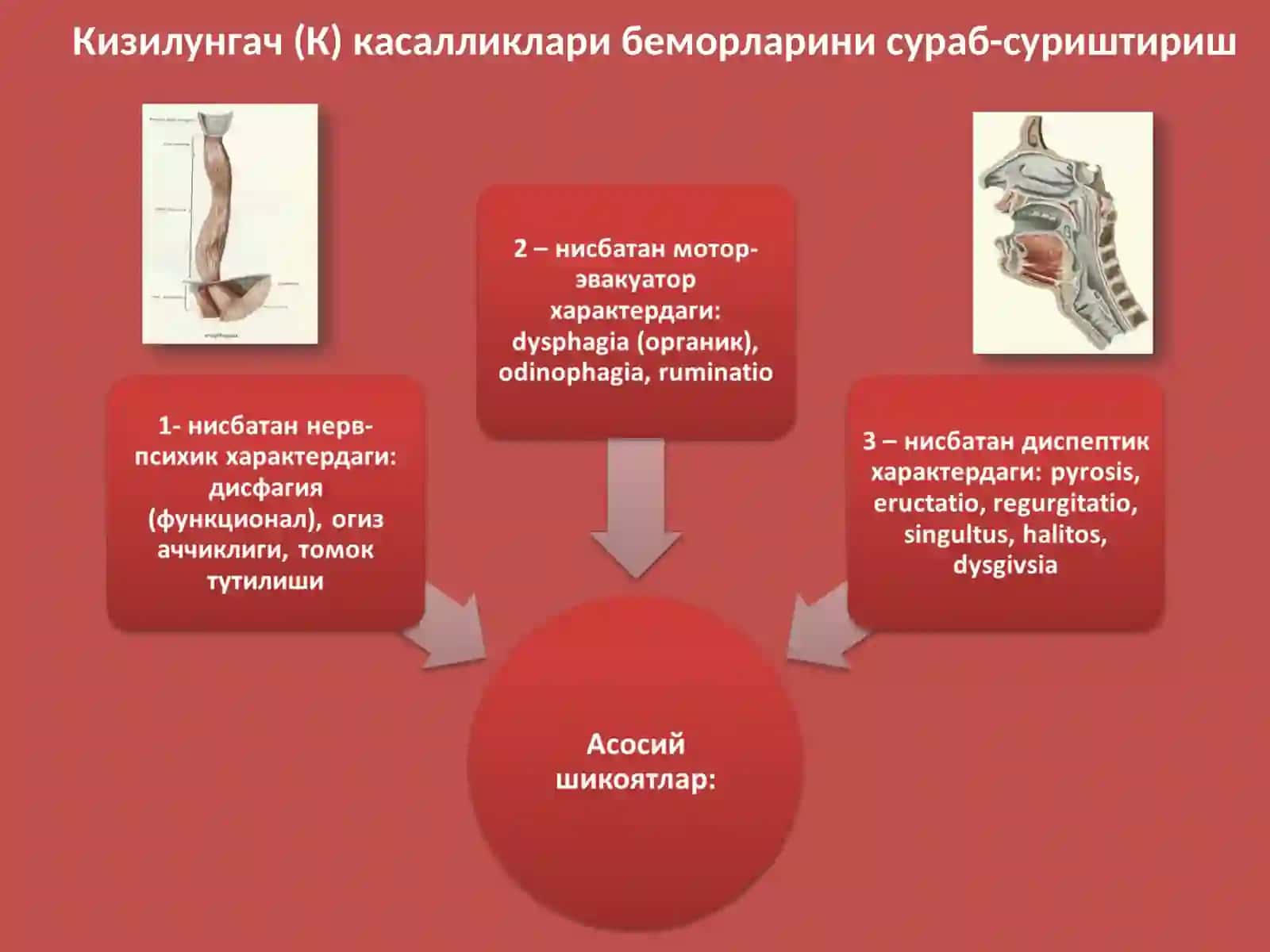 Хаетини тиббиетга тикканлар учун 3