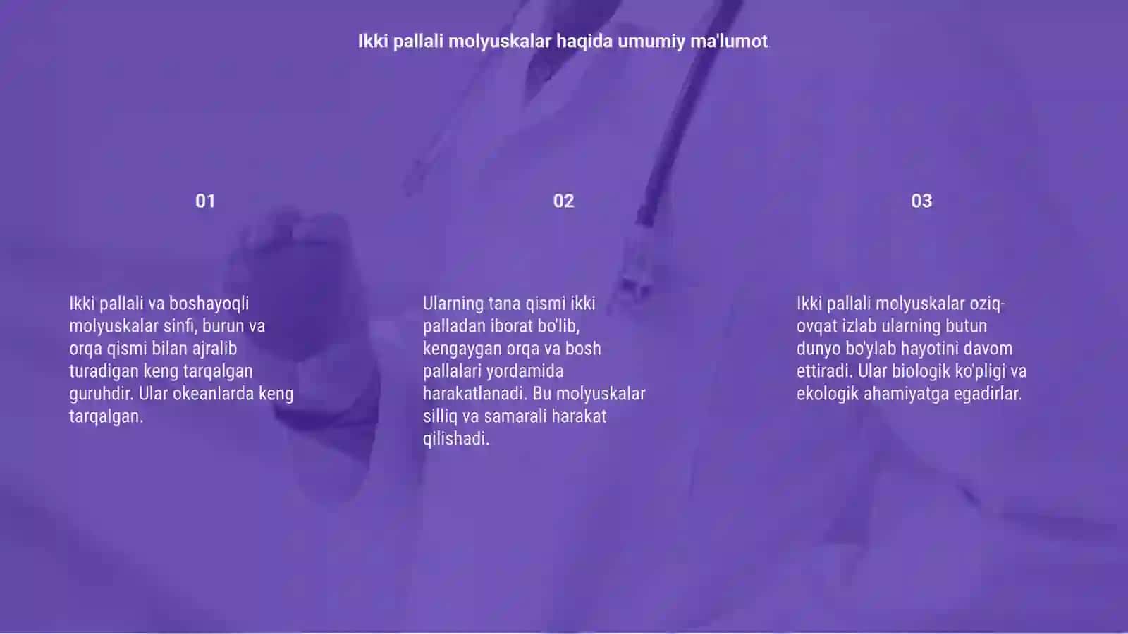 Ikki pallali va boshoyoqli molyuskalar sinfi 3