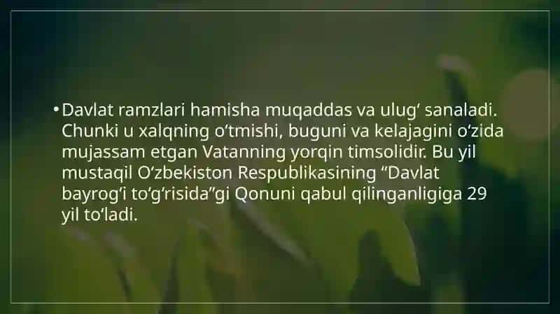 O'zbekiston Respublikasining davlat bayrog'i 3