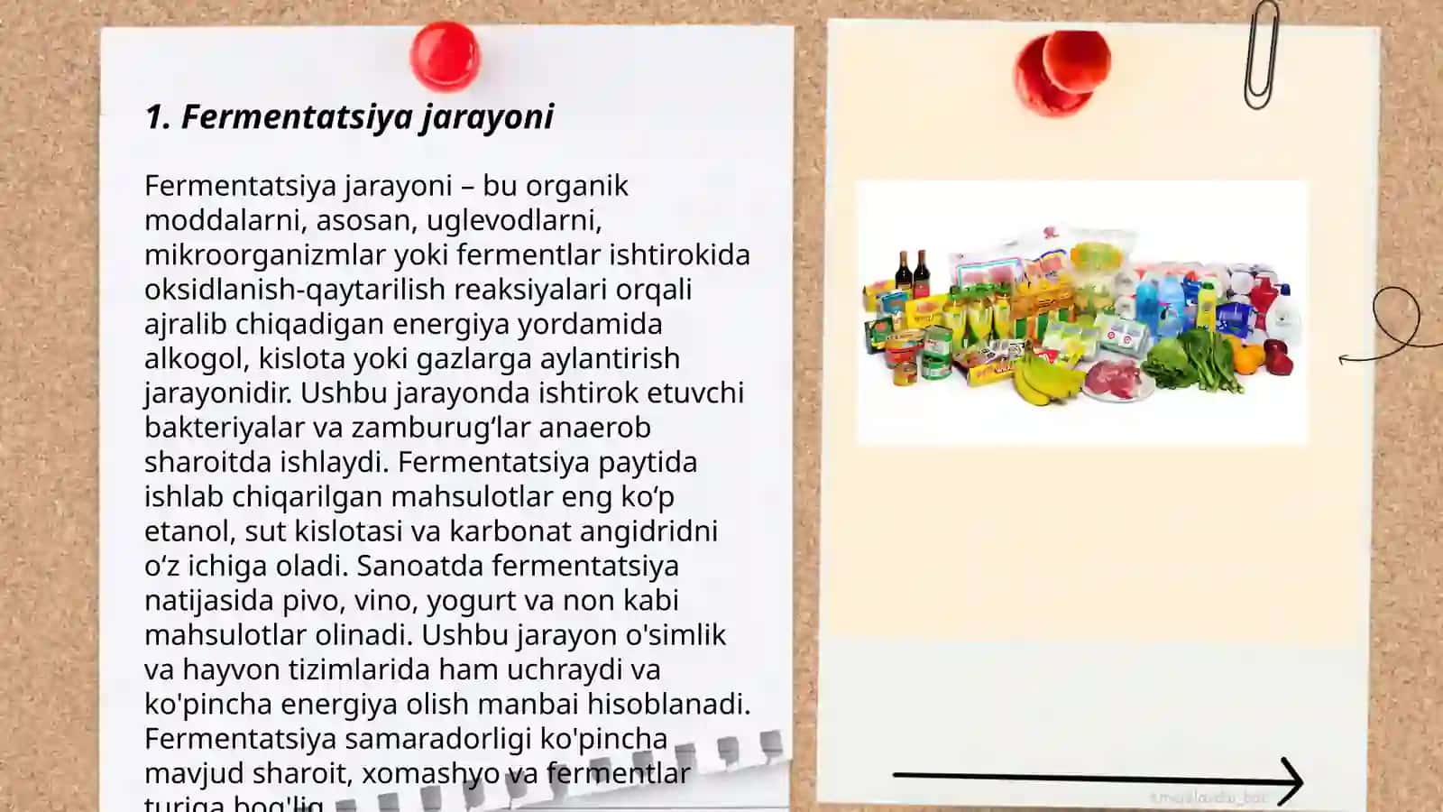 Fermentatsiya jarayoni 3
