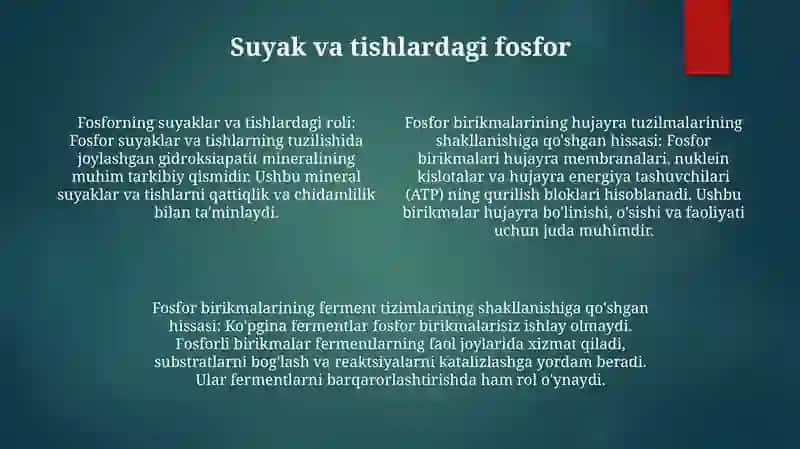Hujayra Strukturalari Va Fermentlar Tizimi 3