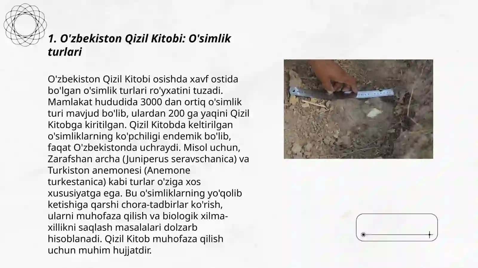 O'zbekiston Qizil Kitobi: O'simlik turlari 3