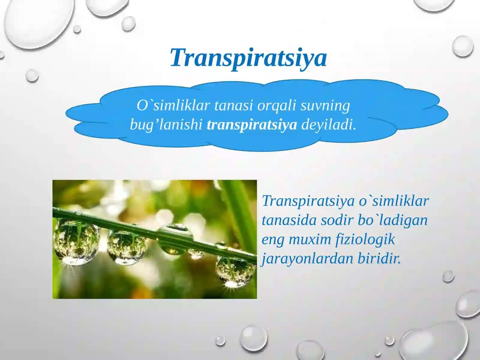 Transpiratsiya xillari uning mehanizmlari 3