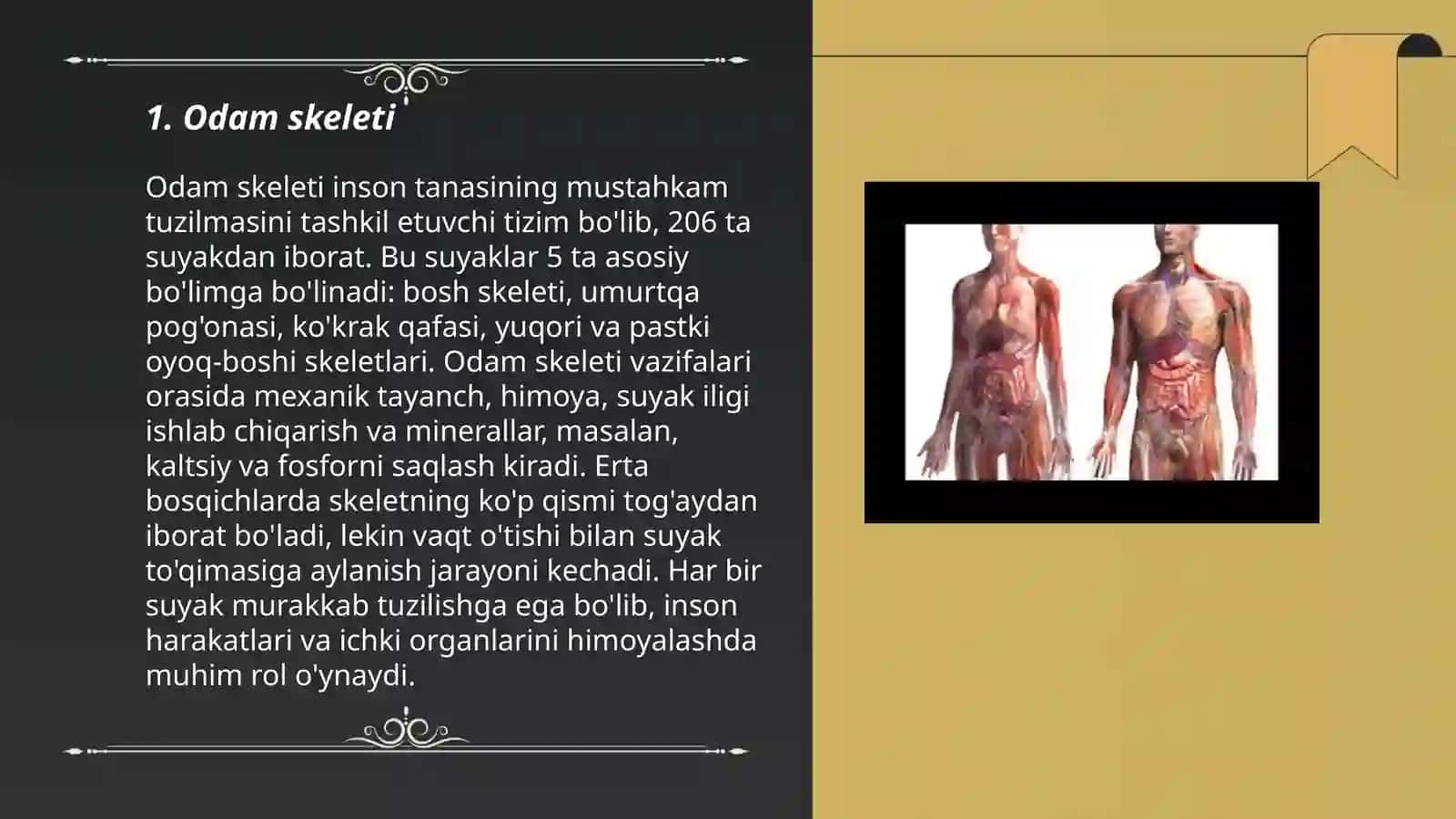 Odam anotomiyasi 3