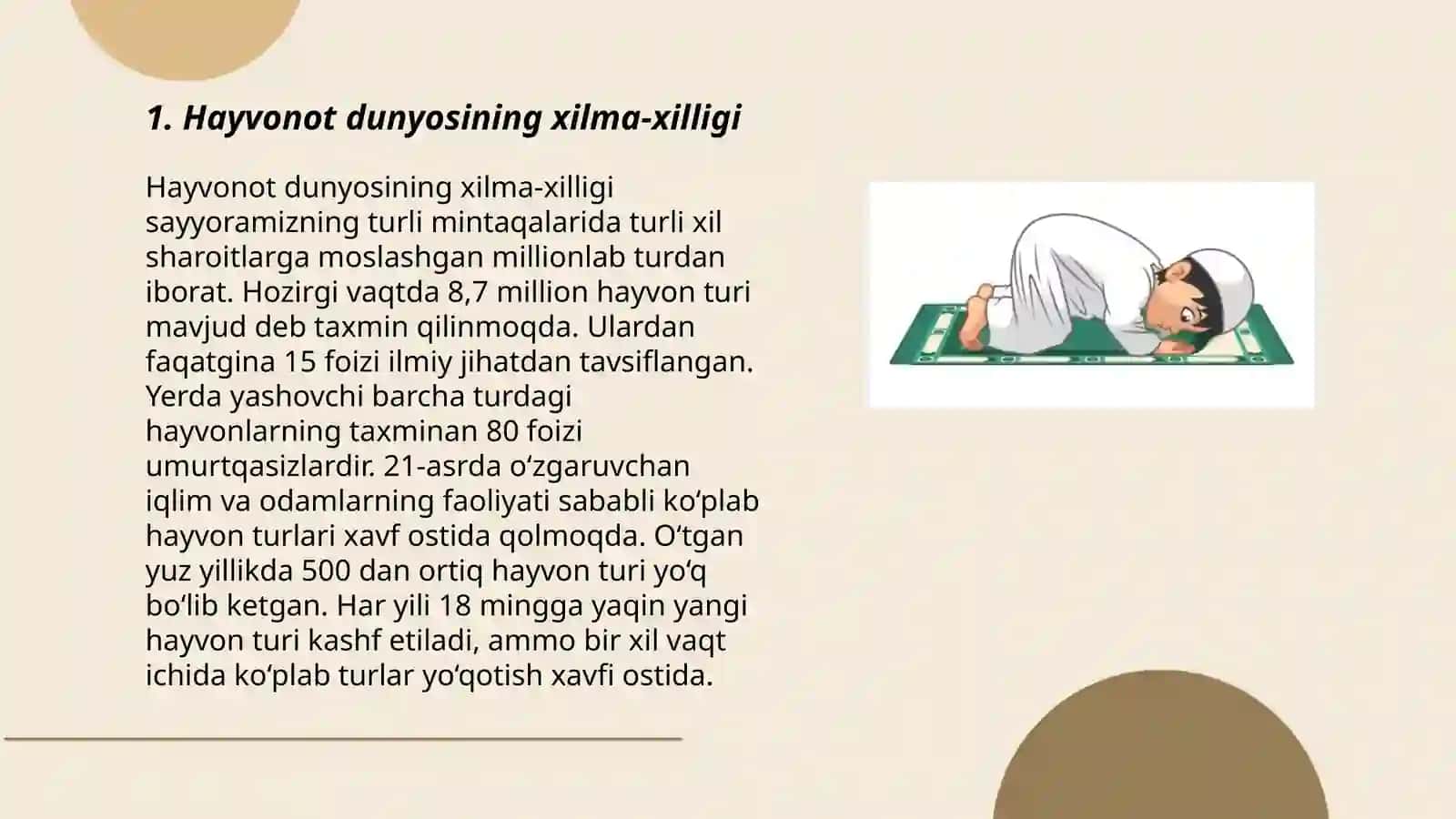 Hayvonot dunyosi 3