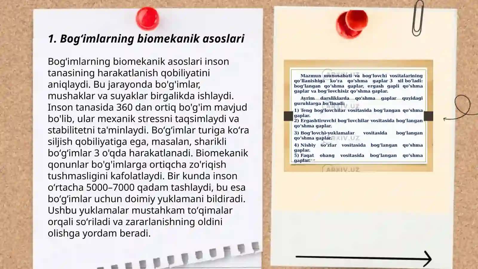 Bogʻimlarning biomehanikasi 3