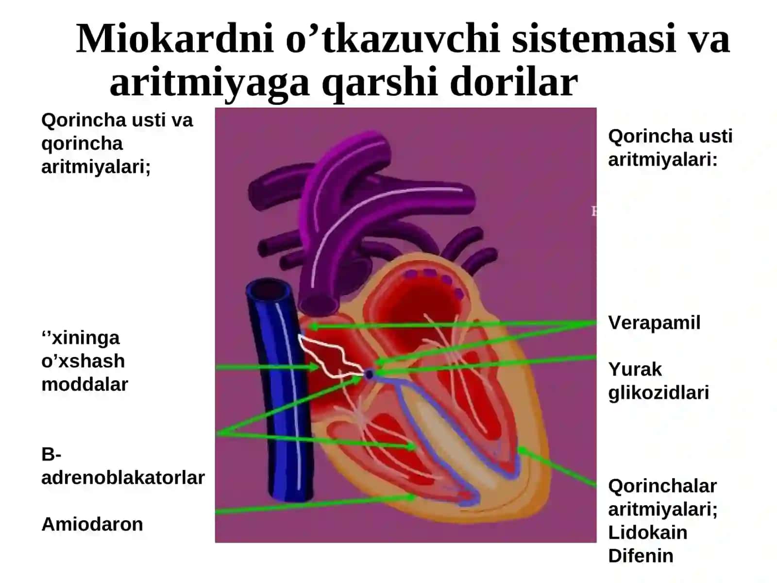 ARITMIYAGA QARSHI DORILAR 3