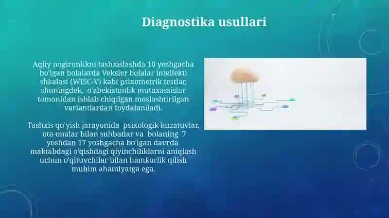 Intellektual Nogironlik 3